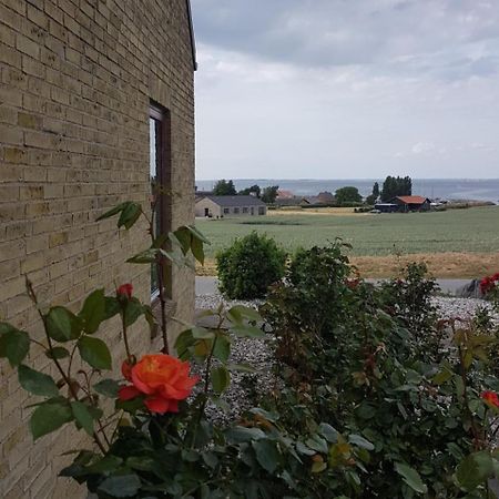 Molevitten Apartments Søby Dış mekan fotoğraf