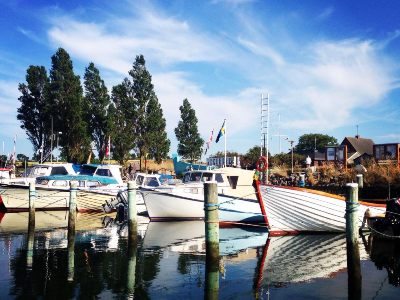 Molevitten Apartments Søby Dış mekan fotoğraf
